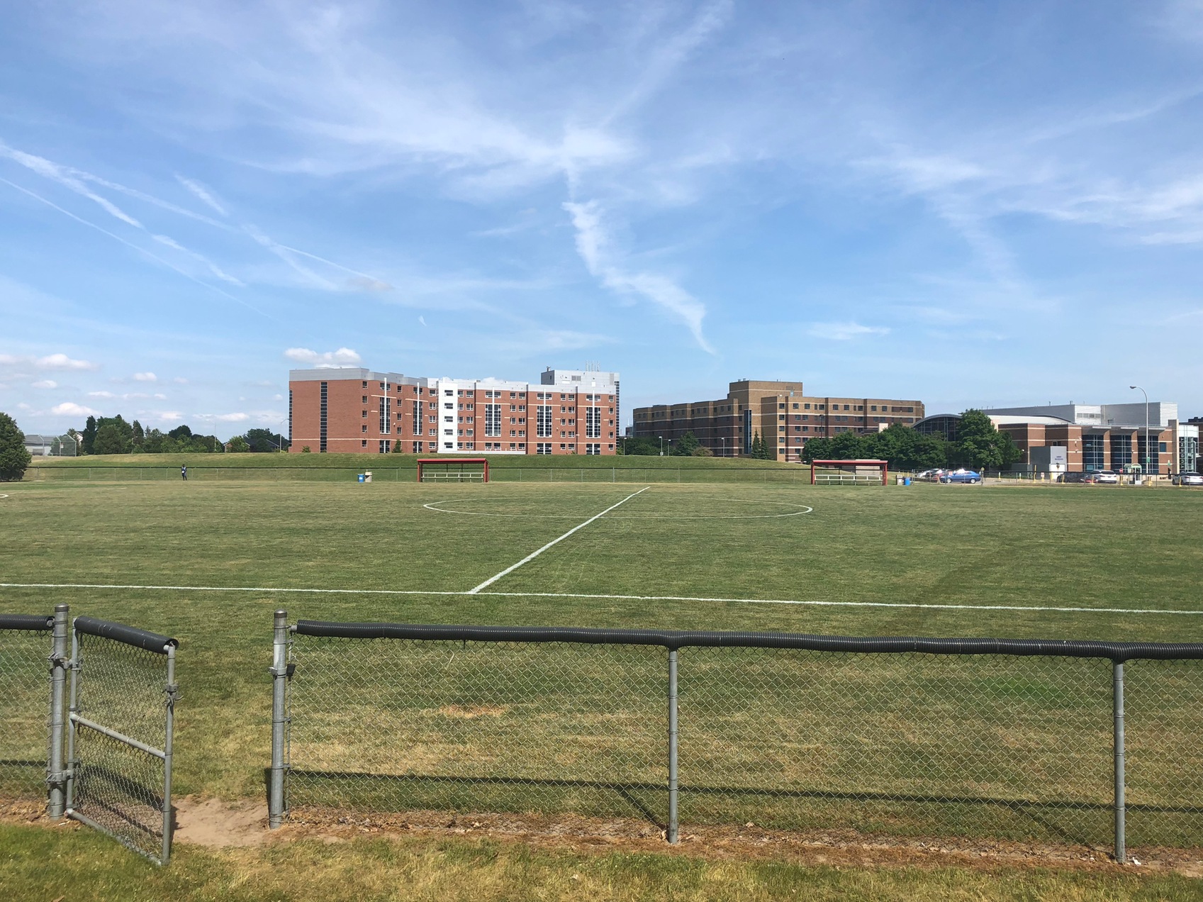 soccer field 2